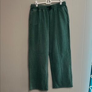 NWT Discount Divas Pants Green Large